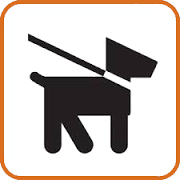 Chiens acceptés
